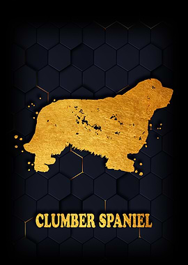 CLUMBER SPANIEL