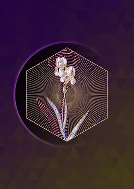 Tall Bearded Iris Mosaic