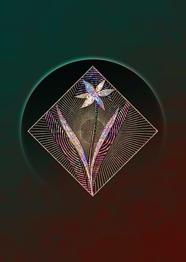 Tulipa Celsiana Mosaic