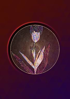 Geometric Mosaic Tulip