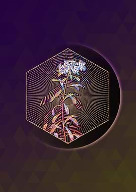 Small White Flowers Mosaic