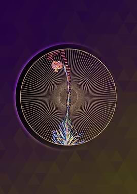 Gold Scarlet Martagon Lily