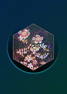 Variegated Burnet Rose