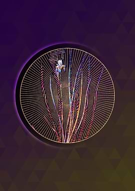 Siberian Iris Mosaic