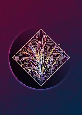 Sansevieria Carnea Mosaic