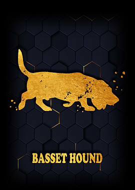BASSET HOUND