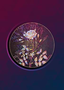 White Rose of Rosenberg