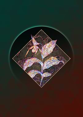 Gold Ladys Slipper Orchid