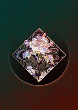 Geometric Mosaic Rosa Alba