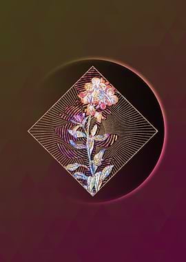 Yellow Wallflower Bloom