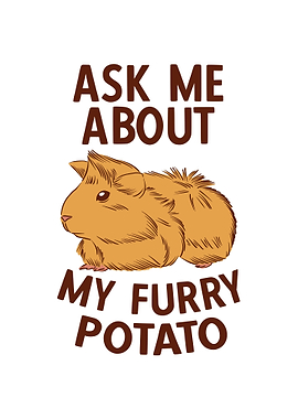 Furry Potato Guinea Pigs