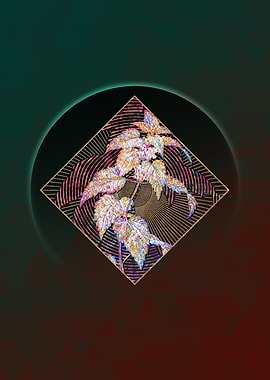 White Dead Nettle Plant