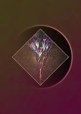 Gold Witsenia Maura Mosaic