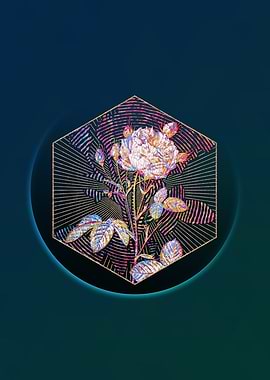 White Provence Rose Mosaic