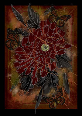 Chrysanthemum butterfly