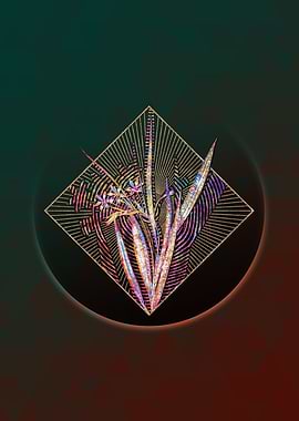 White Baboon Root Mosaic