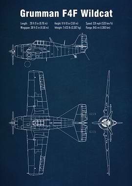 F4F Wildcat Aircraft