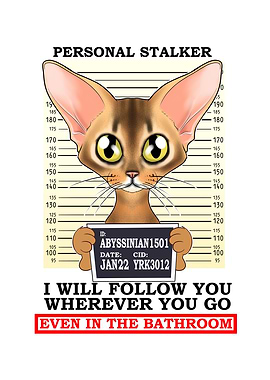 Abyssinian Cat I Cat Lover