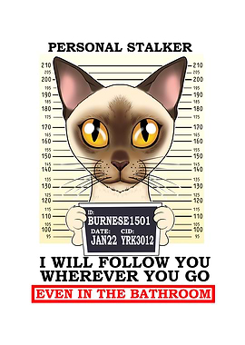 Burmese Cat I Cat Lover