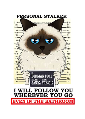 Birman Cat I Cat Lover