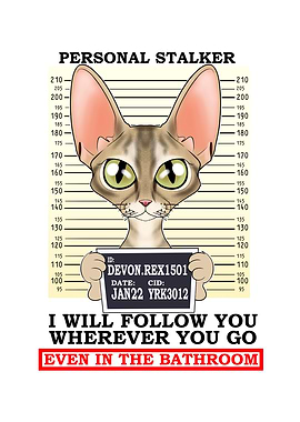 Devon Rex Cat I Cat Lover