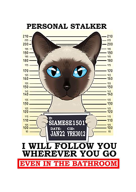 Siamese Cat I Cat Lover