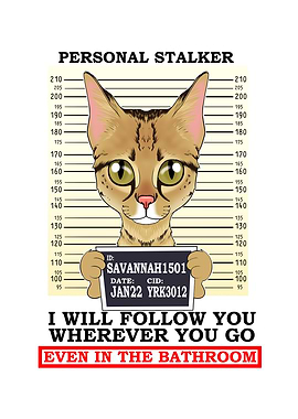 Savannah Cat I Cat Lover