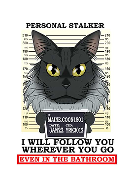 Maine Coon Cat I Cat Lover