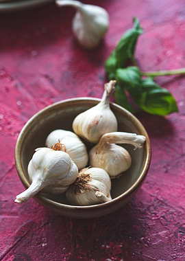 Garlic