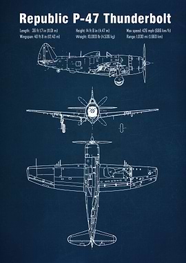 P47 Thunderbolt Aircraft