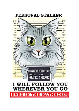 Norwegian Forest Cat