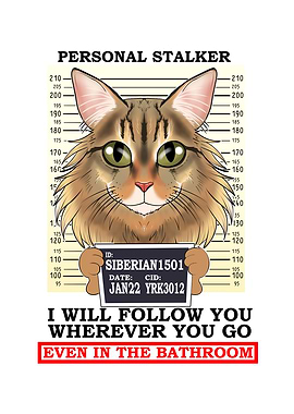 Siberian Cat I Cat Lover