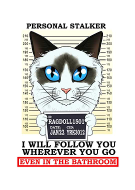 Ragdoll Cat I Cat Lover