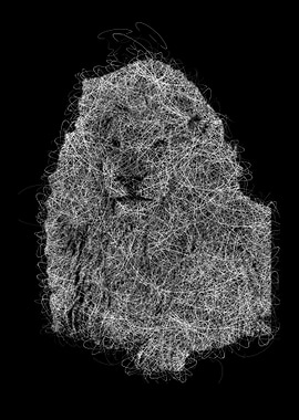 scribble animal lion