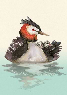 Great Crested grebe mum