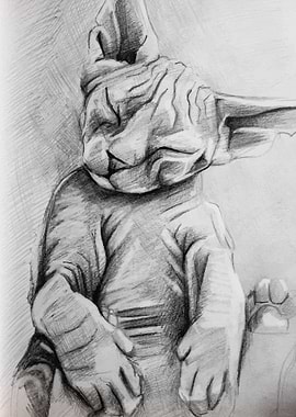 Sphinx cat Drawing Poster