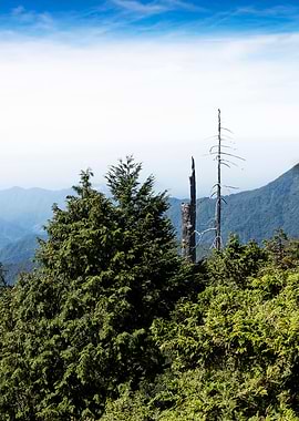 Taiwan Alpine Scenery