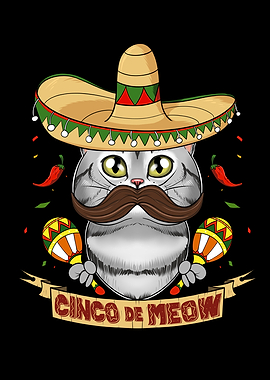 American Shorthair Cat