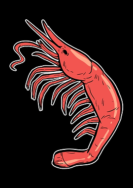 Shrimp Sea