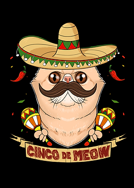 Exotic Shorthair Cat