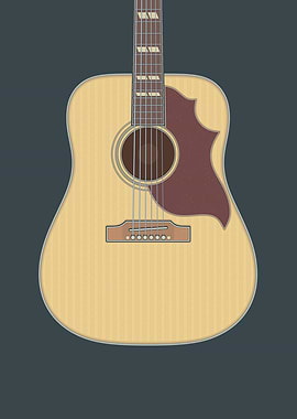 Acoustic Guitar