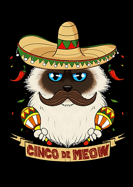 Cinco de Mayo Birman Cat