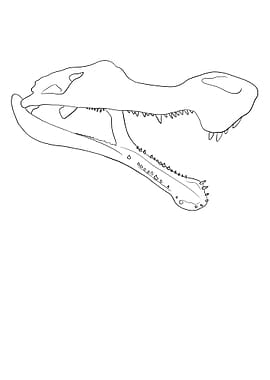 Dinosaurier Sarcosuchus