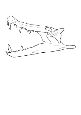 Dinosaurier Kaprosuchus