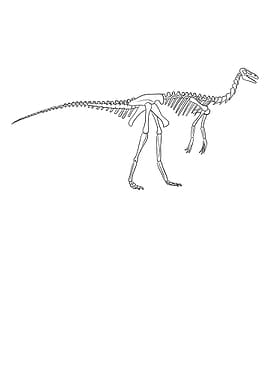 Dinosaurier Gallimimus