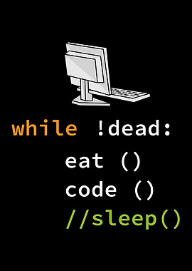 Funny Programming Coding