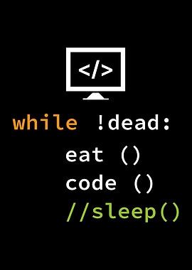 Funny Software Developer