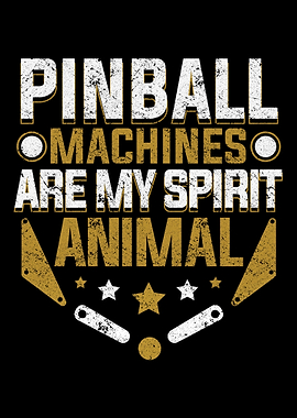 Pinball Arcade Game