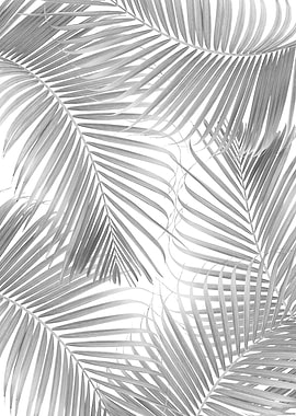 Palm Delicado Pattern 2