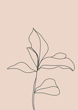 Tropical single leaf line